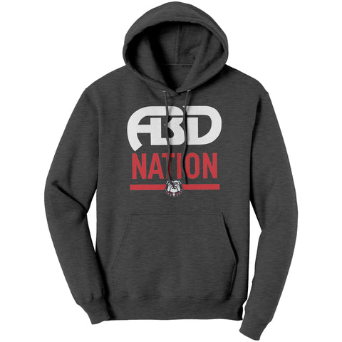 Image of ABD NATION HOODIE (YOUTH)grey new