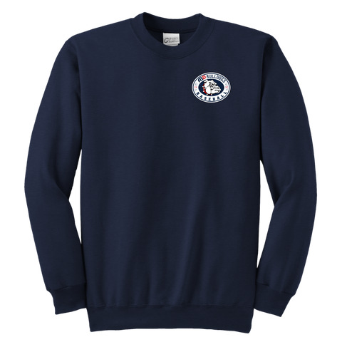 Image of ABD 1992 SWEATSHIRT (YOUTH)